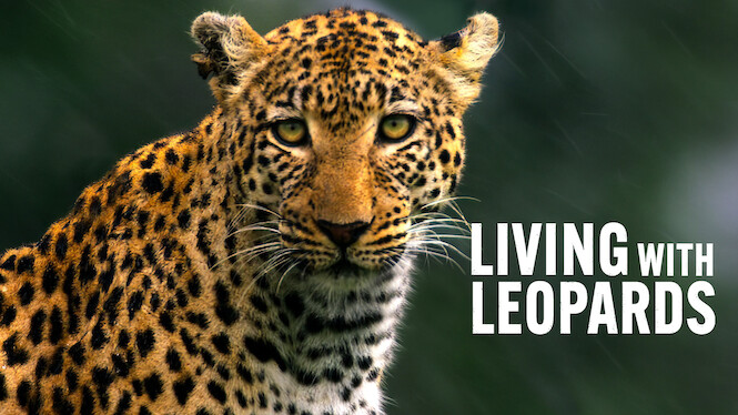 Living with Leopards