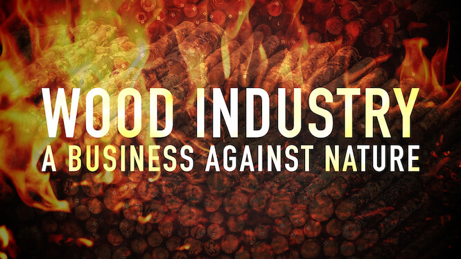 Wood Industry: A Business Against Nature