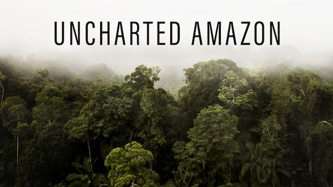 Uncharted Amazon