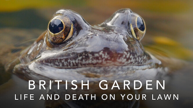 British Garden: Life and Death on Your Lawn