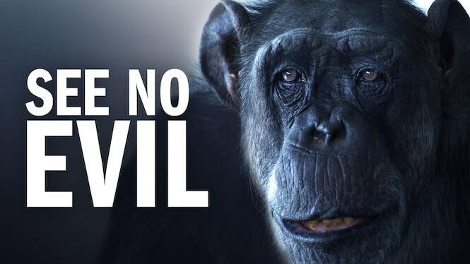 See No Evil