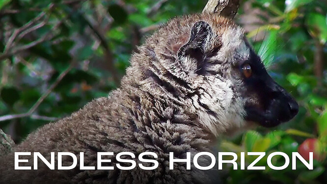 Endless Horizon