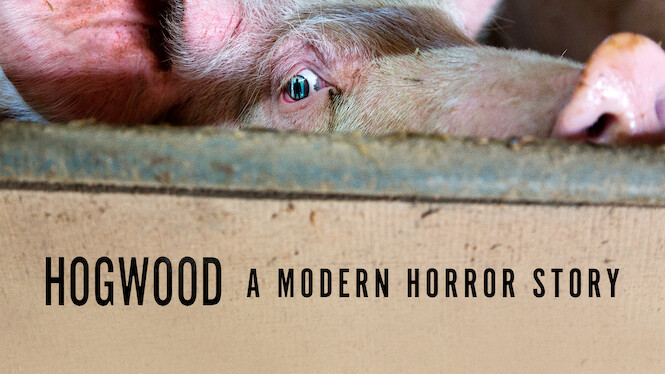 Hogwood: A Modern Horror Story