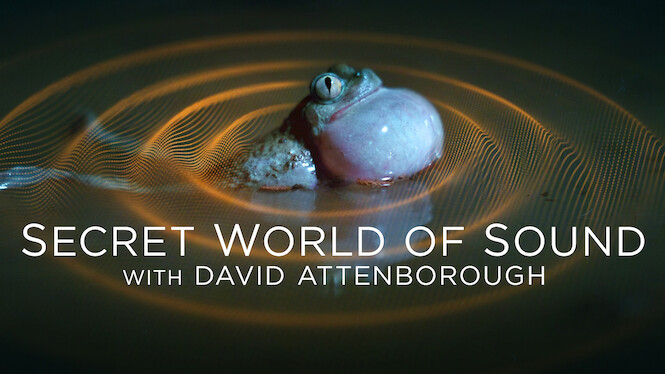 Secret World of Sound with David Attenborough