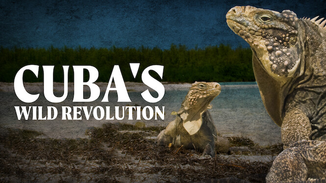 Cuba's Wild Revolution