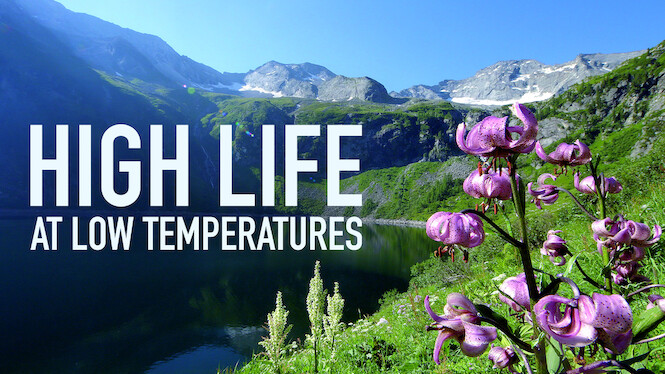 High Life at Low Temperatures