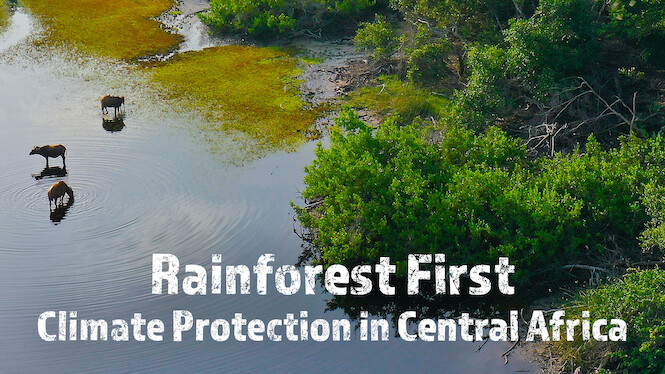 Rainforest First: Climate Protection in Central Africa