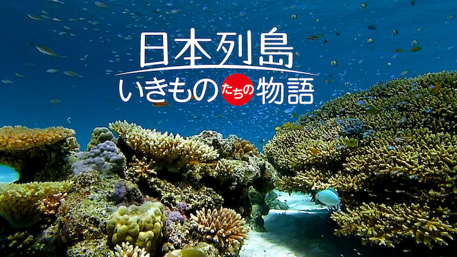 Japan's Wildlife: The Untold Story