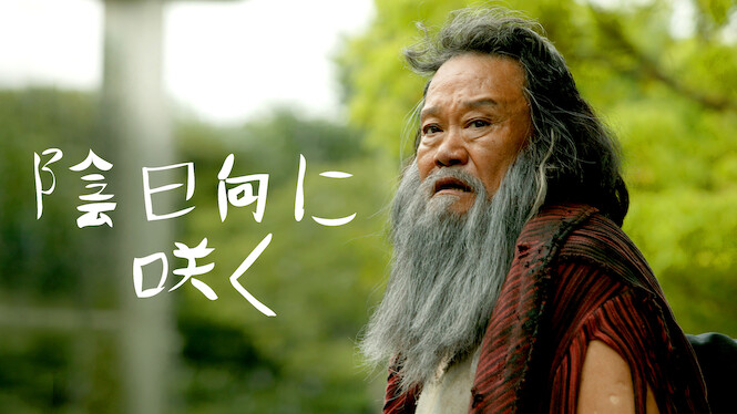 Flowers in the Shadows