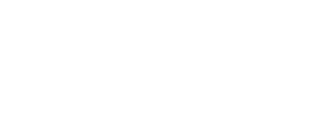 Fast & Feel Love logo