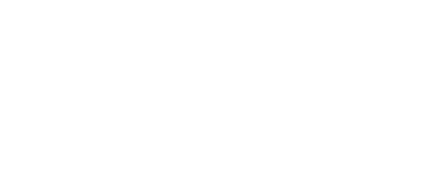 Bird Thongchai Concert 1990: Boomerang Man logo