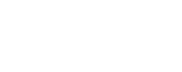 Babb Bird Bird Show #9/2008: Magic Memories logo