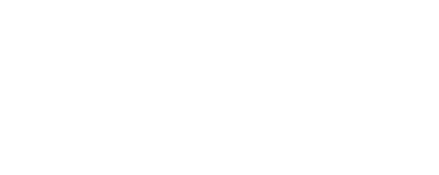 Bird Thongchai Concert #12/2003: For Fan Fun Fair logo