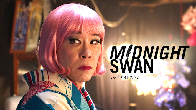 Midnight Swan