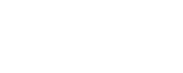 The Wall logo