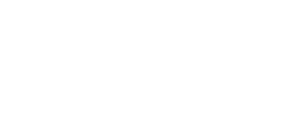 Monkey Twins logo