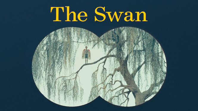 The Swan