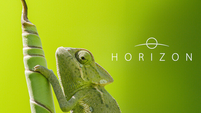 Horizon
