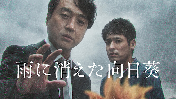 The Sunflower Disappeared In The Rain