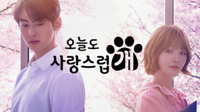 A Good Day to Be a Dog