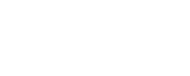 THE STANDARD 8 Minute History On Stage logo