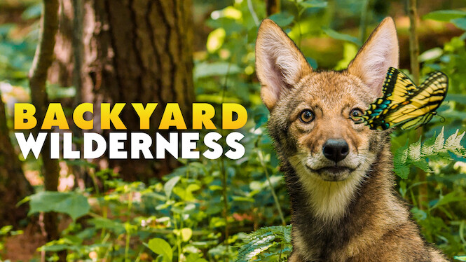 Backyard Wilderness