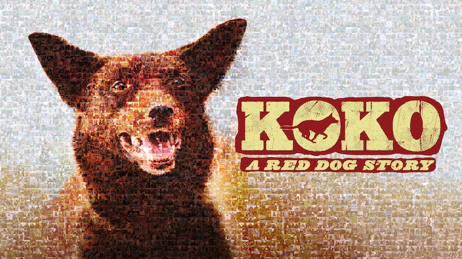 Koko: A Red Dog Story