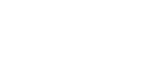 The Delivery Rider logo
