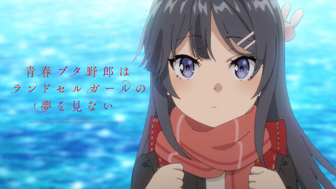 Rascal Does Not Dream of a Knapsack Kid