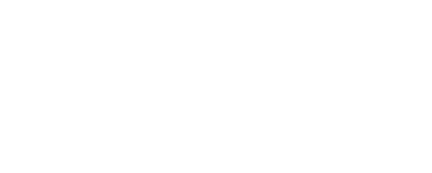 The Bridge logo