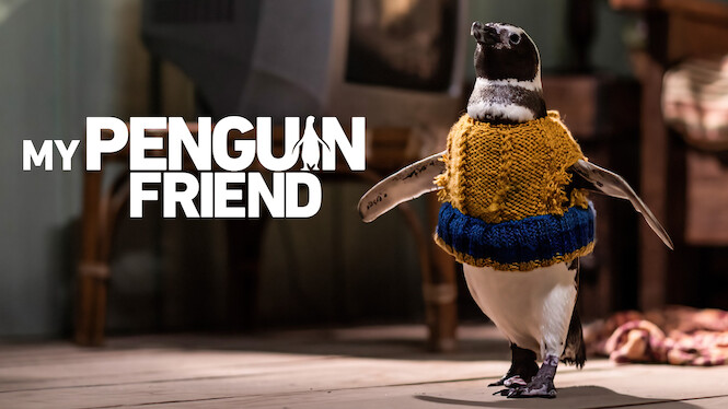 My Penguin Friend