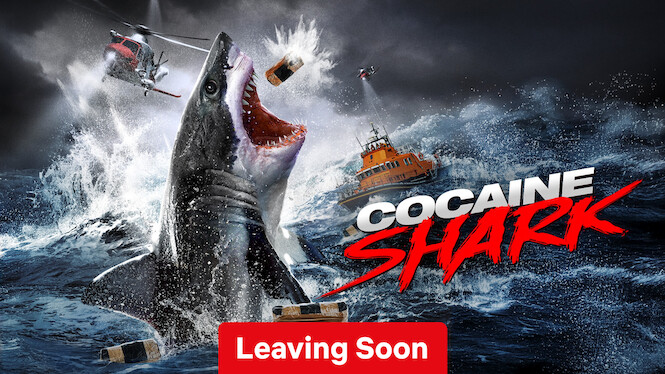 Cocaine Shark