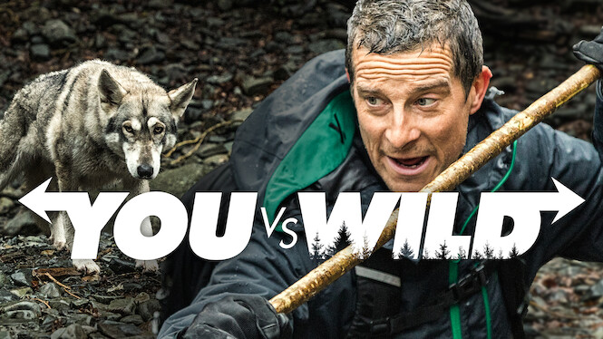 You vs. Wild