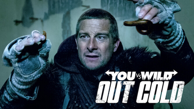 You vs. Wild: Out Cold