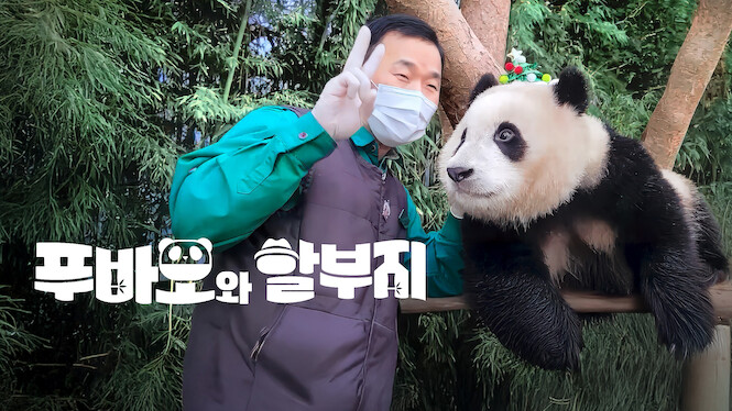 TV Show Fu Bao & Grandpa