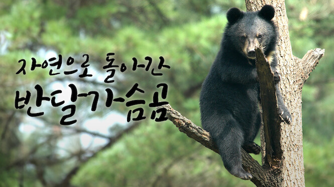 The Return of the Moon Bear to Nature