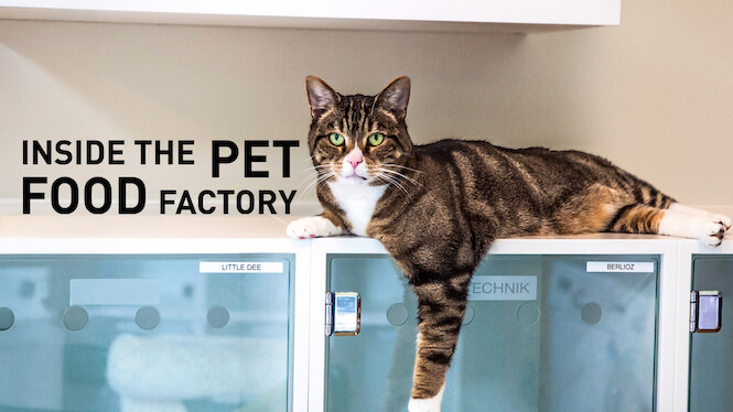 Inside the Pet Food Factory