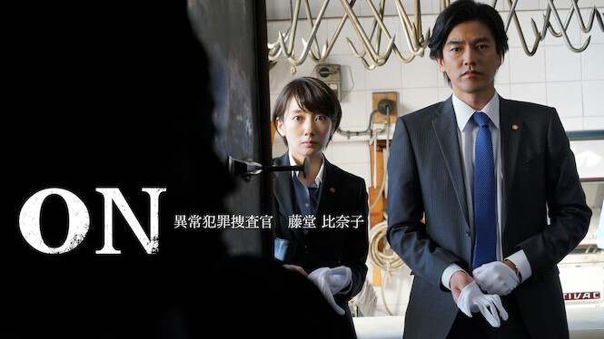 Atypical Crime Investigator, Hinako Todo