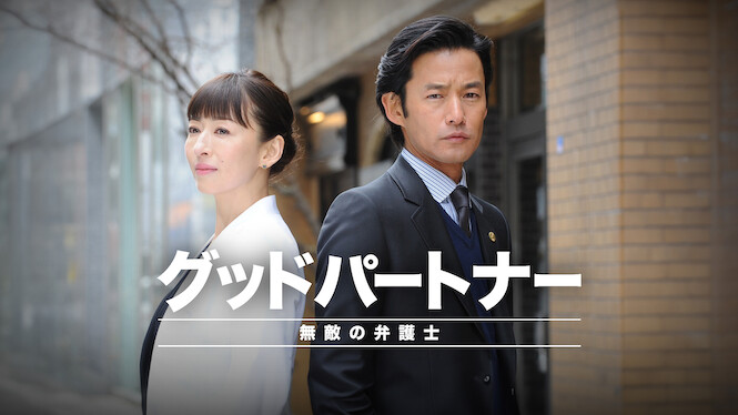 Good Partner: The Invincible Lawyer