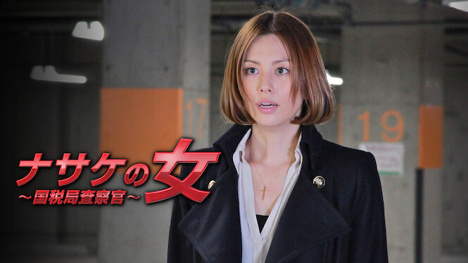 HUNT - Tax Investigation Officer