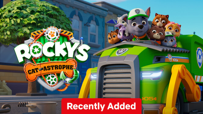 Rocky's Cat-astrophe