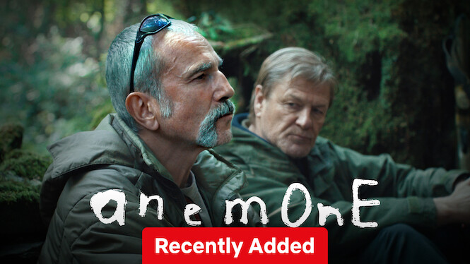 Anemone