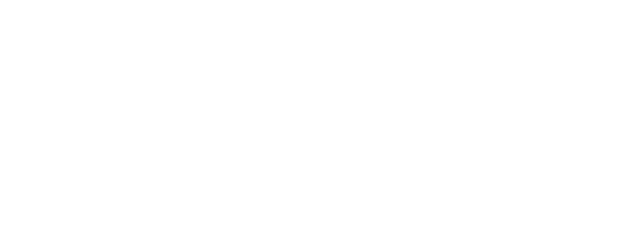 The Solitary Gourmet logo